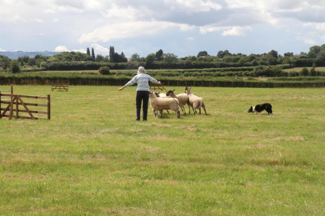 Church Farm Stratford-upon-Avon Buitenkant foto