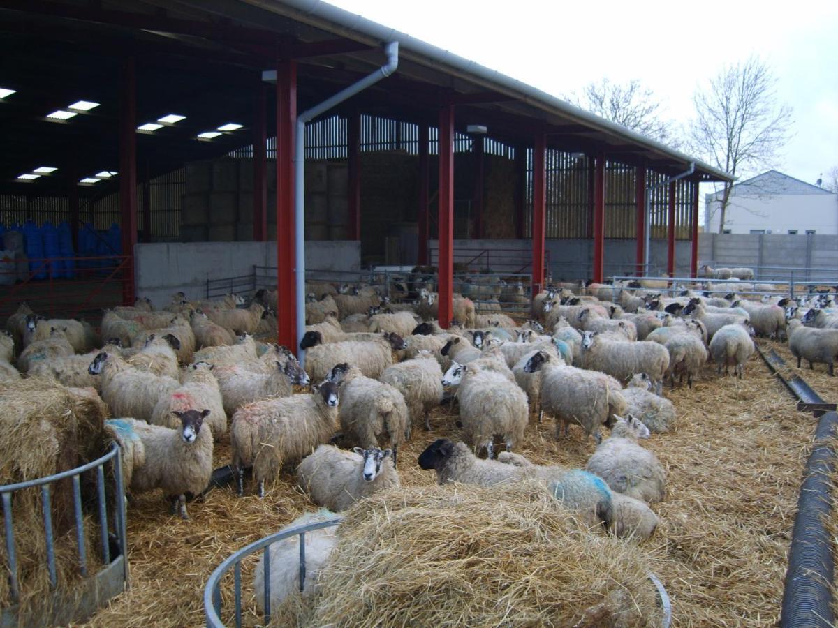 Church Farm Stratford-upon-Avon Buitenkant foto